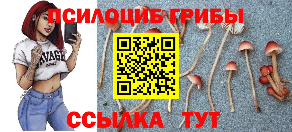 Галлюциногенные грибы мухоморы  Псилоцибиновые грибы мицелий  Кашира  Вход с VPN 